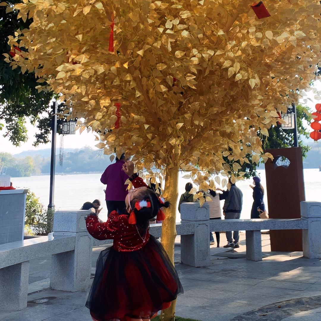 悦悦妈