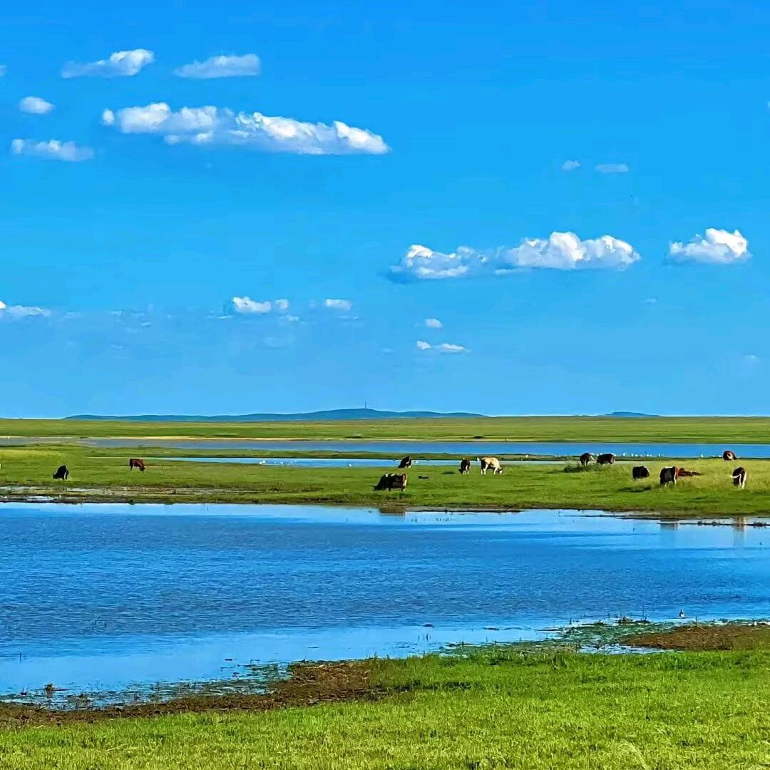 🐏⁰².₁₉王℘࿐