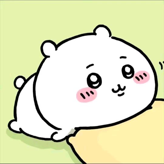 潘姐衣橱