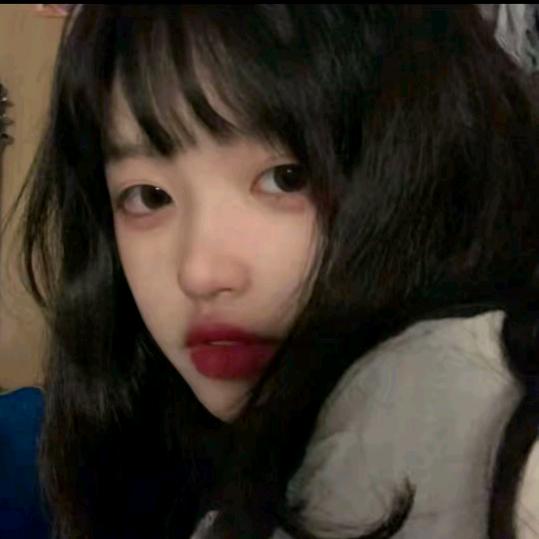 笨蛋无需搭理
