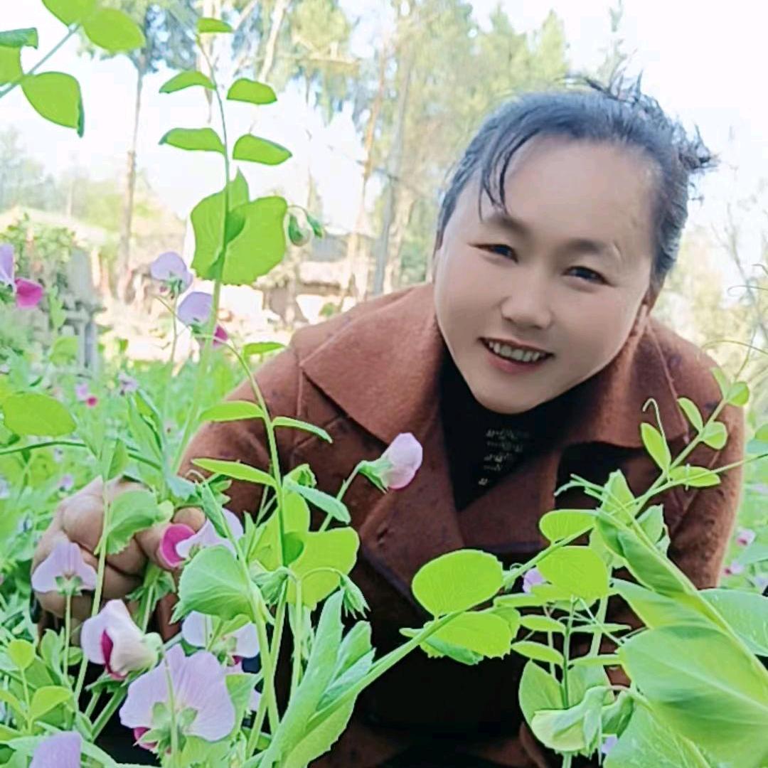 红玫瑰🌹🍎🍎🍎🍎