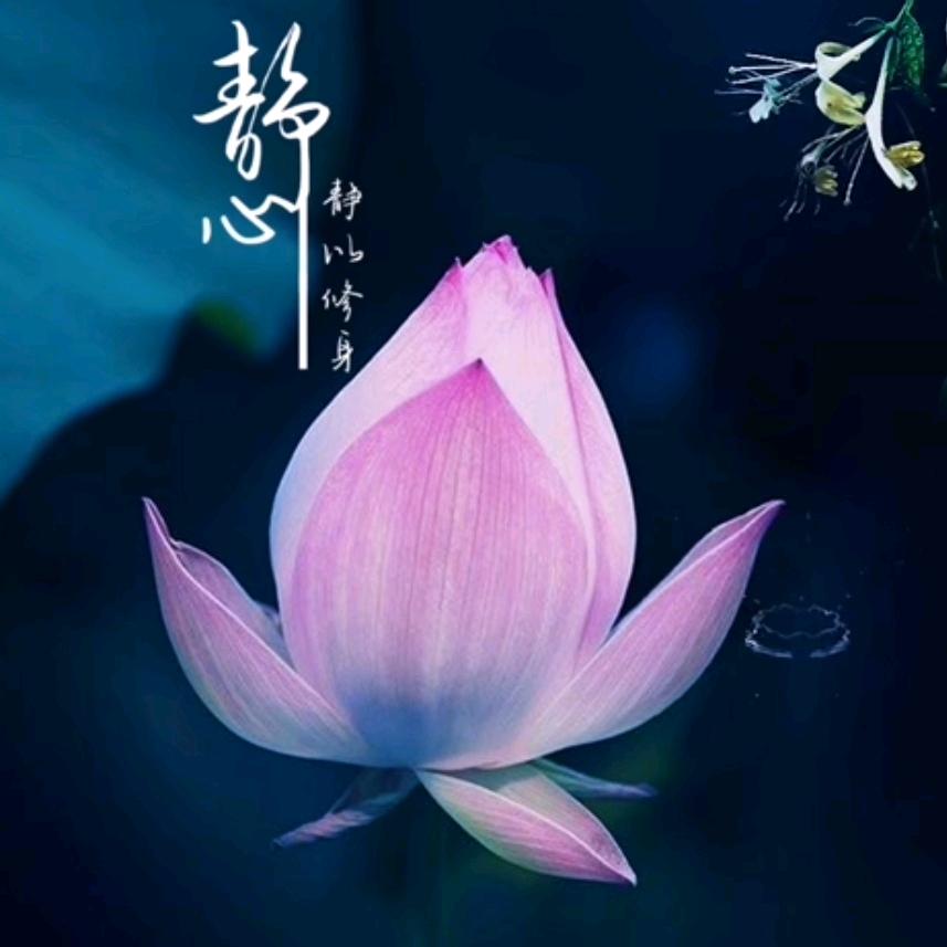 ლ岁月ψ静好౪ლლ