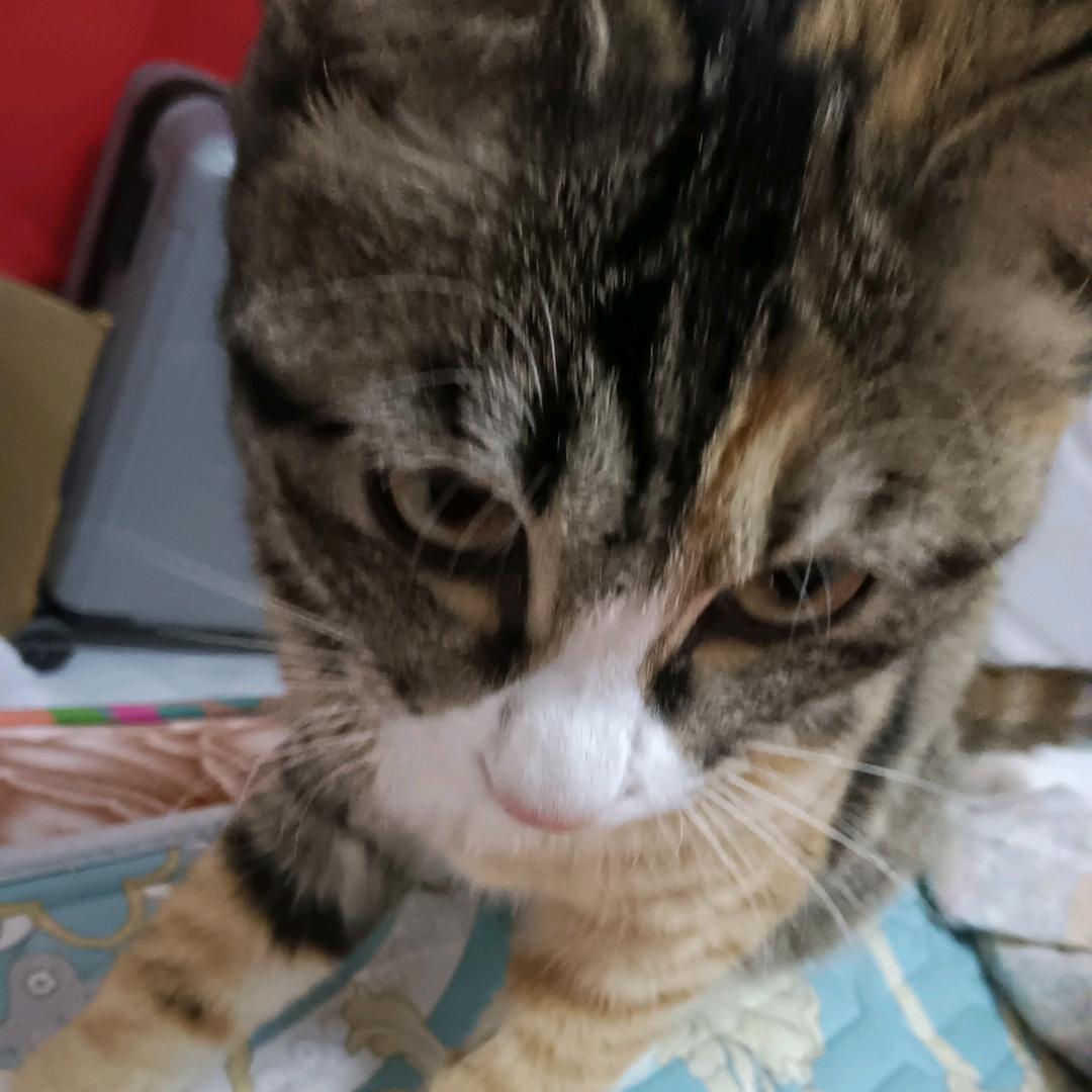 AT_YWR（天天开心）