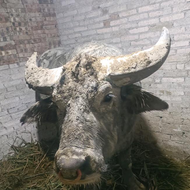 我在贵州等你@抖音