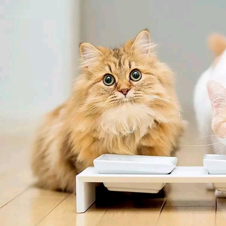 渔众不同车品店