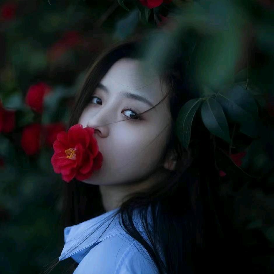 🌈小柒柒🕊️