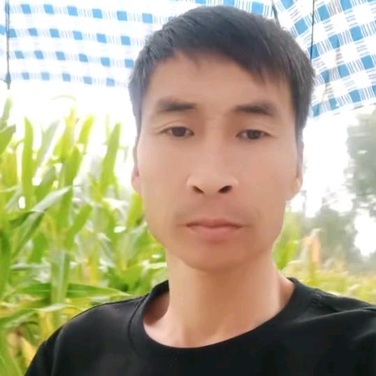 爱在金秋