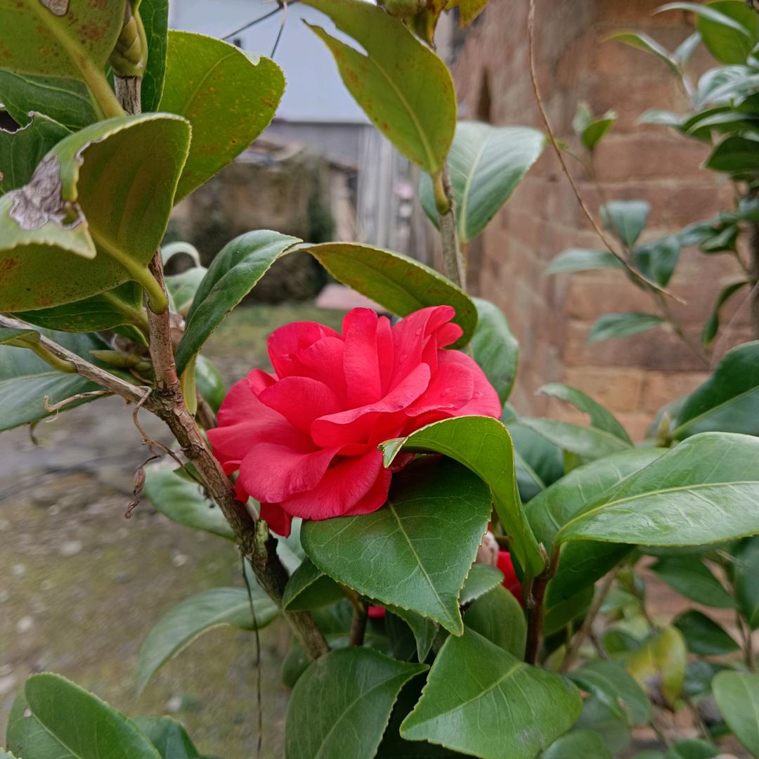 🦋ꦿ໊余生᭄🕊随心᭄ꦿᩚ٭