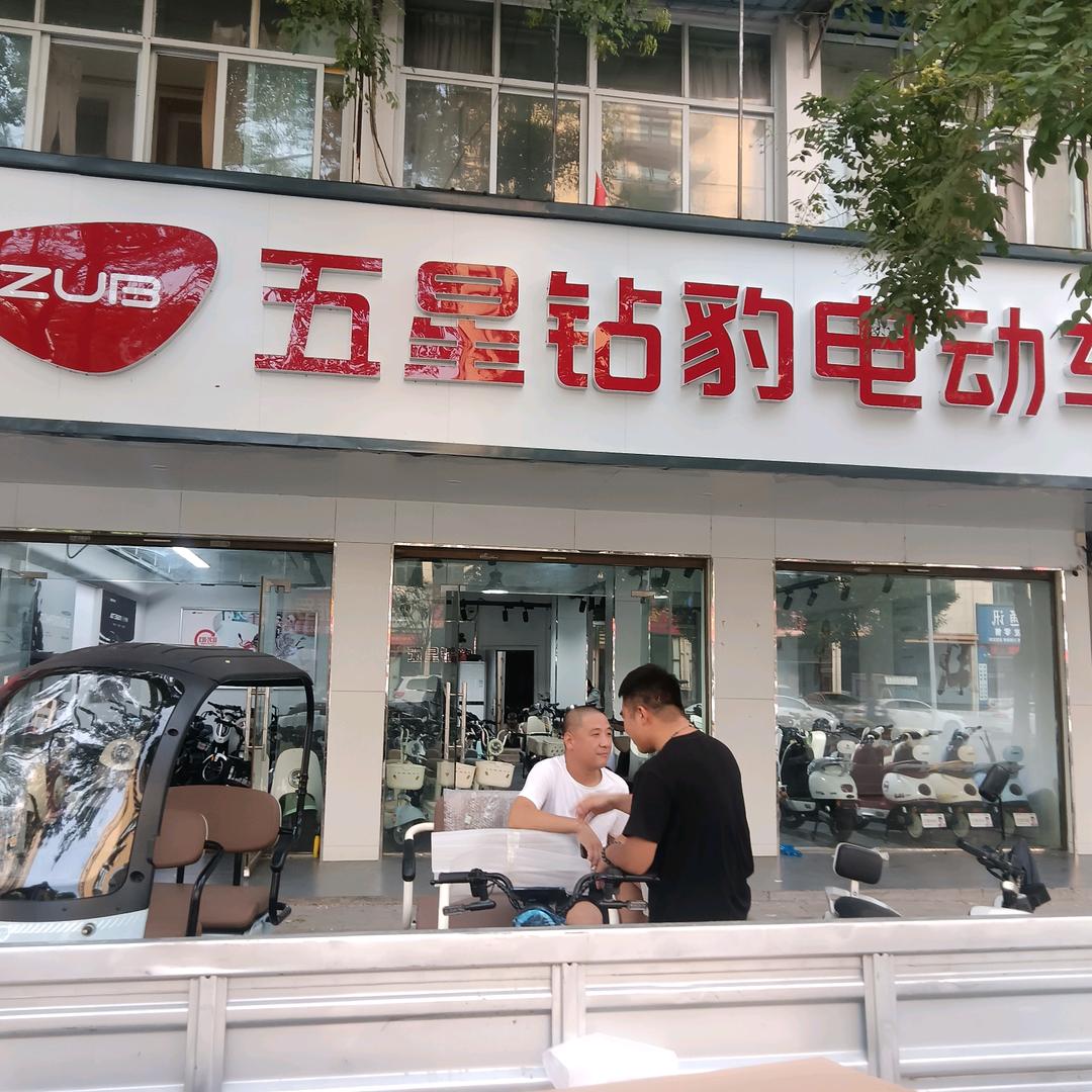 沈丘五星钻豹