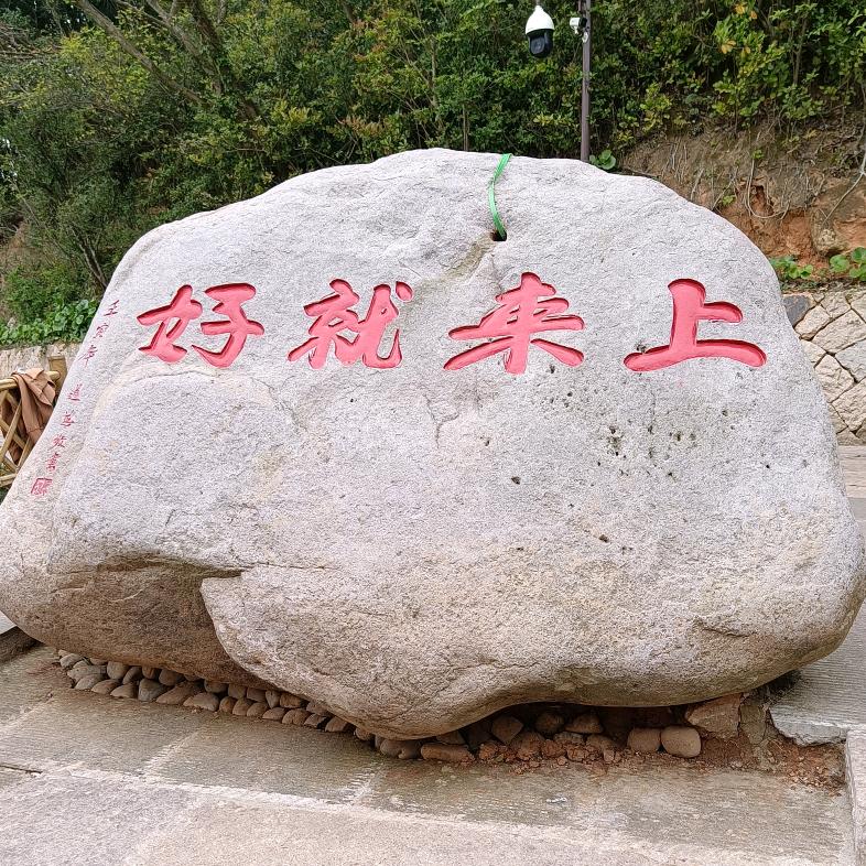 佛缘小伴