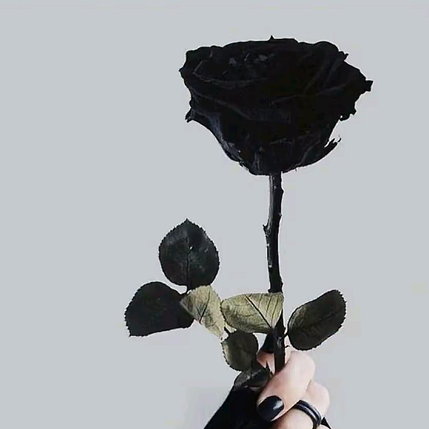 Li