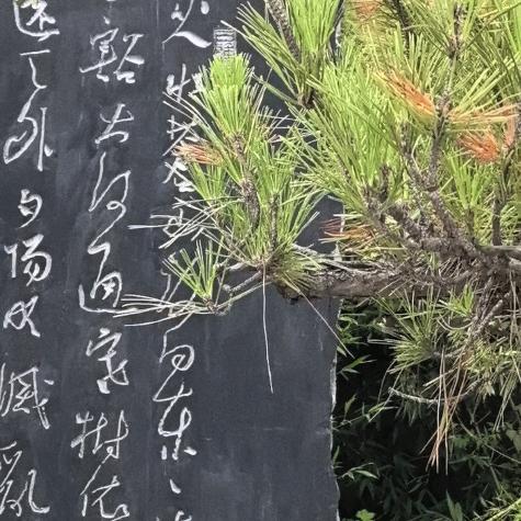 软乎乎