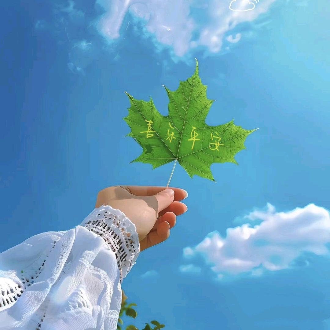→_→梓曦🌸