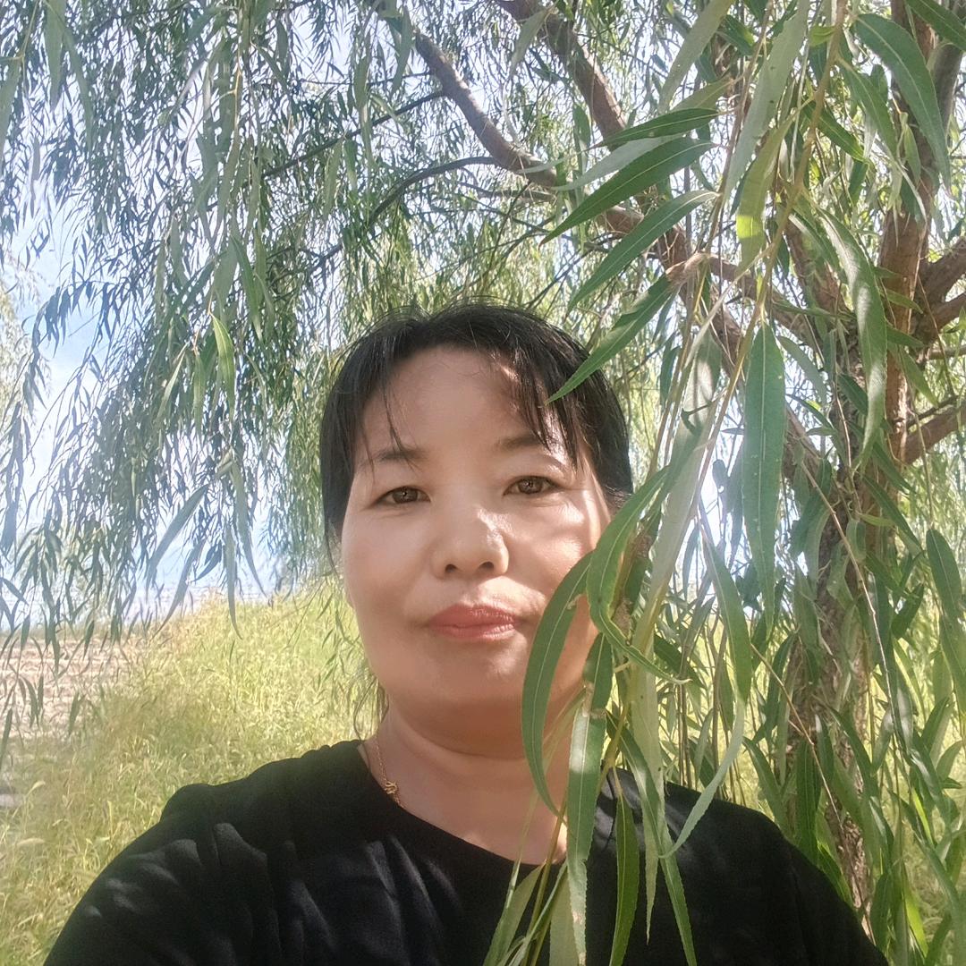 玉兰姐(每晚8:20首播)