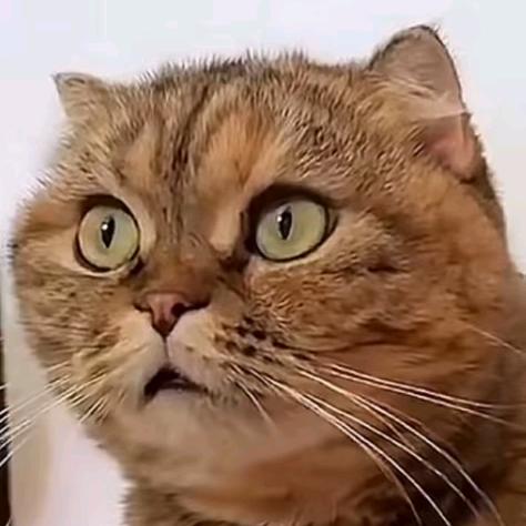 苏打水