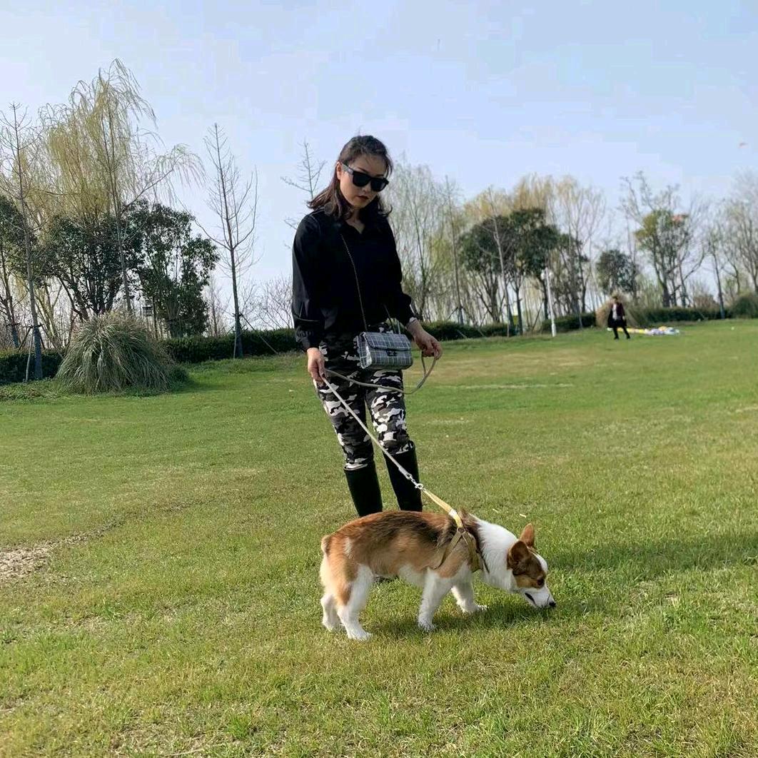 杨家二小姐😂᭄