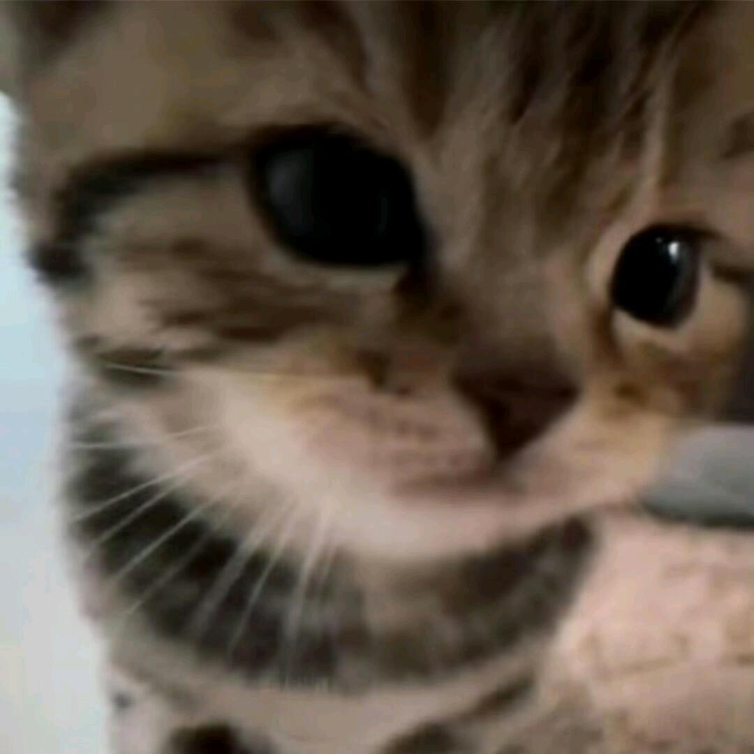 多情剑客无情剑