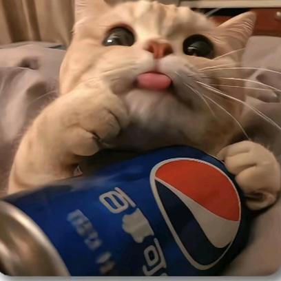 求瓶可乐🥤