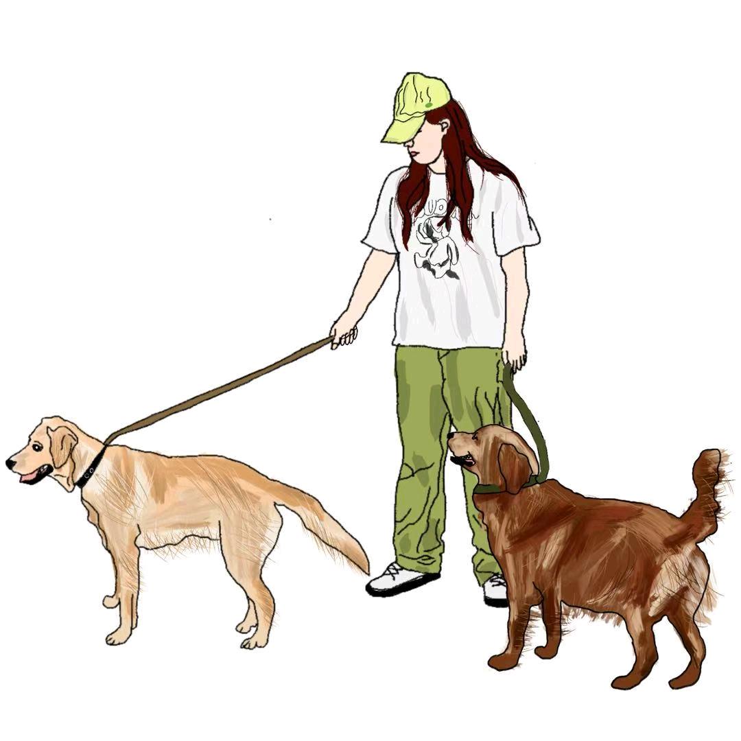 是骞不是赛（见过陈伟霆版）