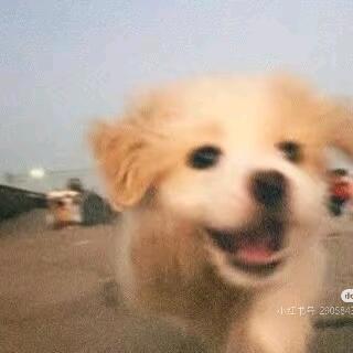 宝塔镇大妖