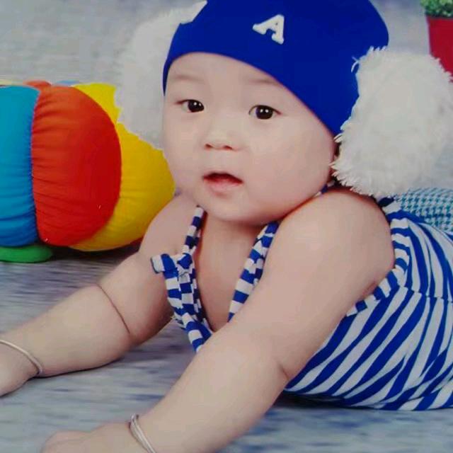 鸽子情缘张家十少