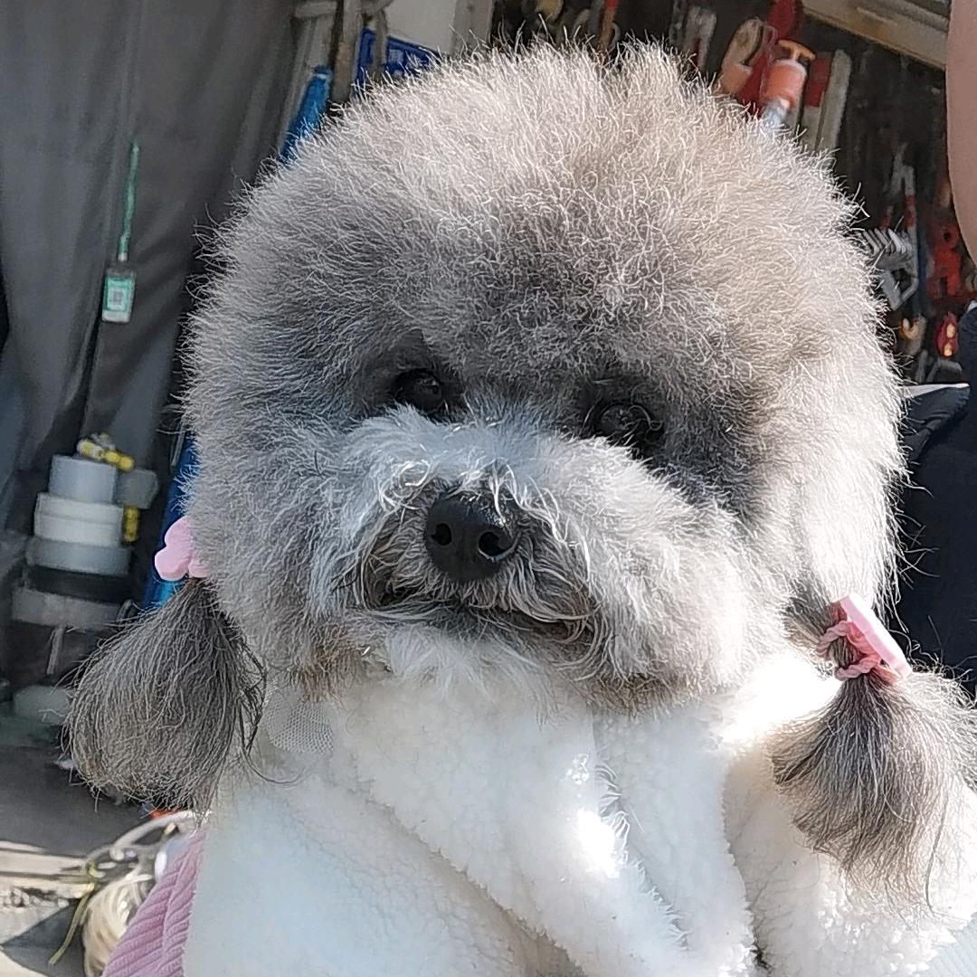 二丫