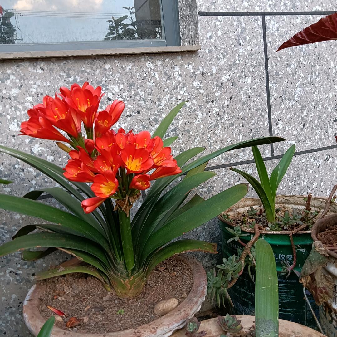 追求美好的明天