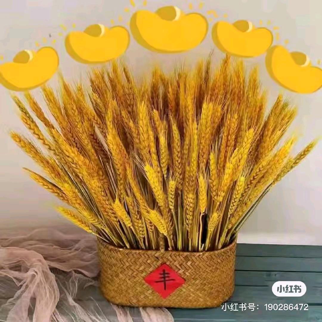 心想事成xu