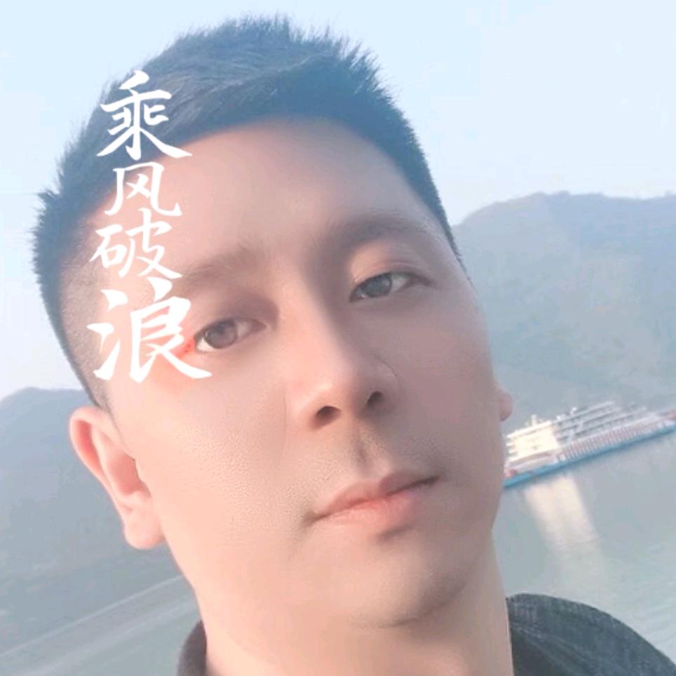 逐日追风