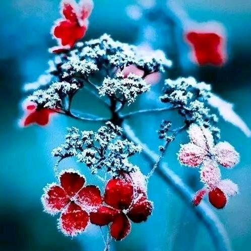 艾沙江，我爱中国。