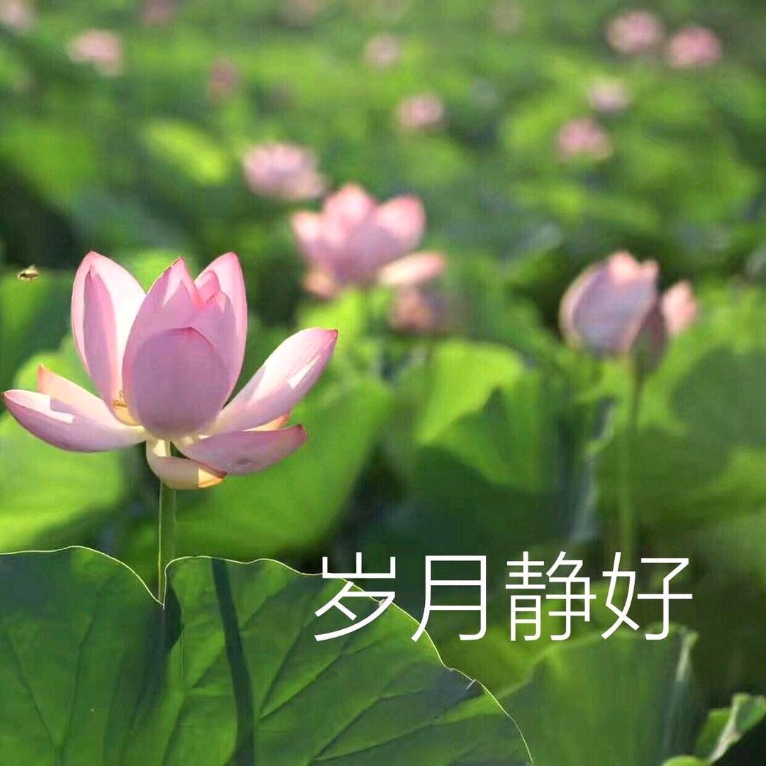 平淡一生