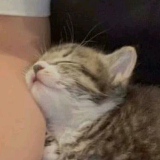 霍琅每天都很困