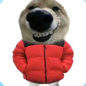 阿甘.