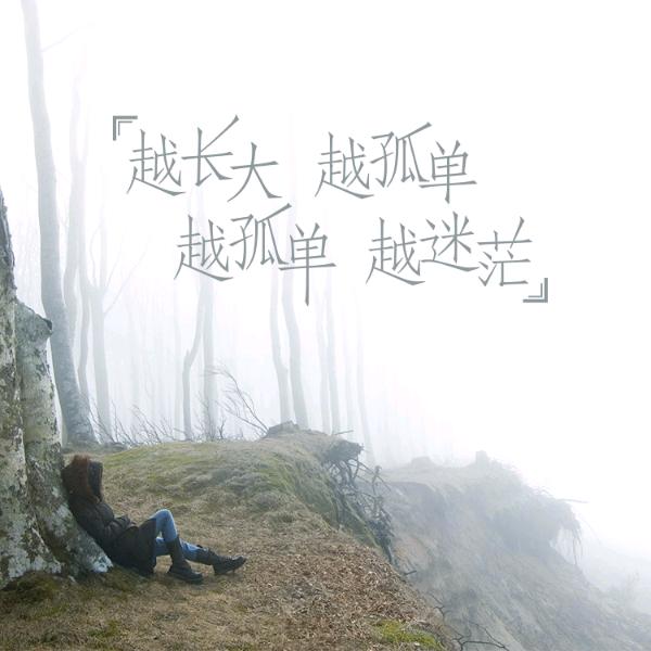 孤鹰飞翔