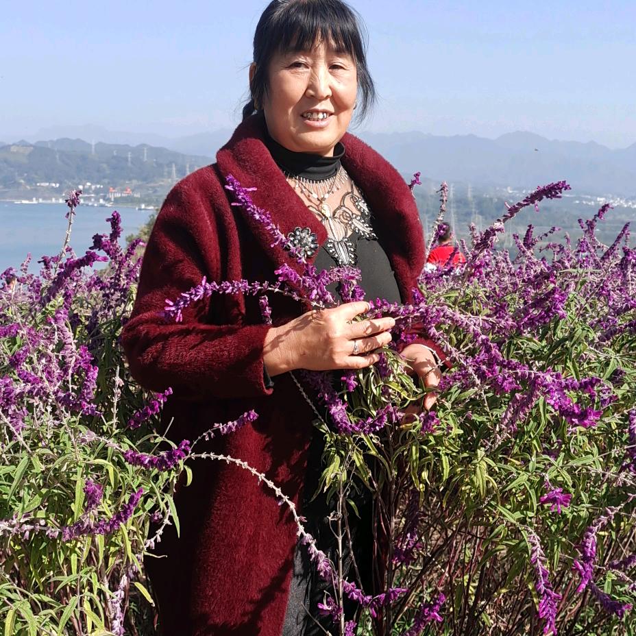 梦想成真