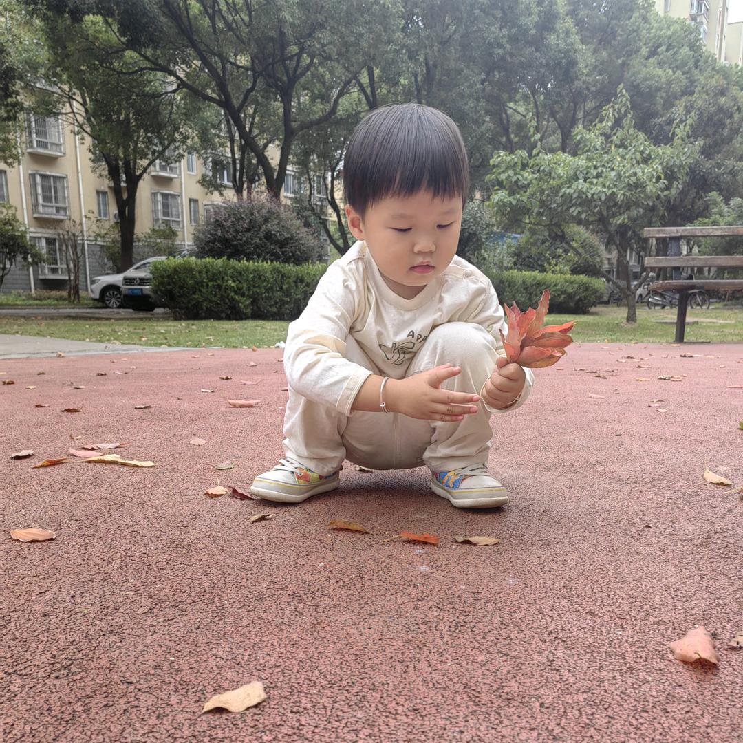 刘家三小姐
