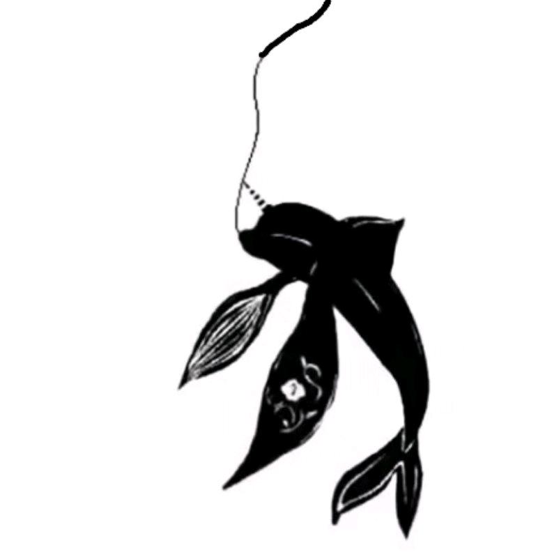 旺哥钓娱