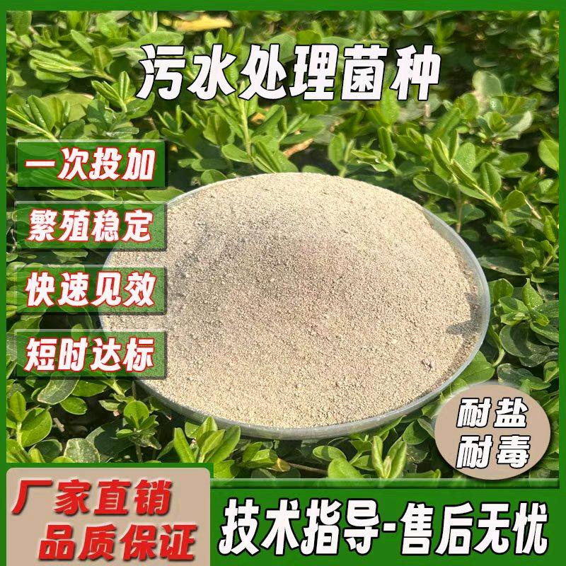 舜海川污水处理菌种