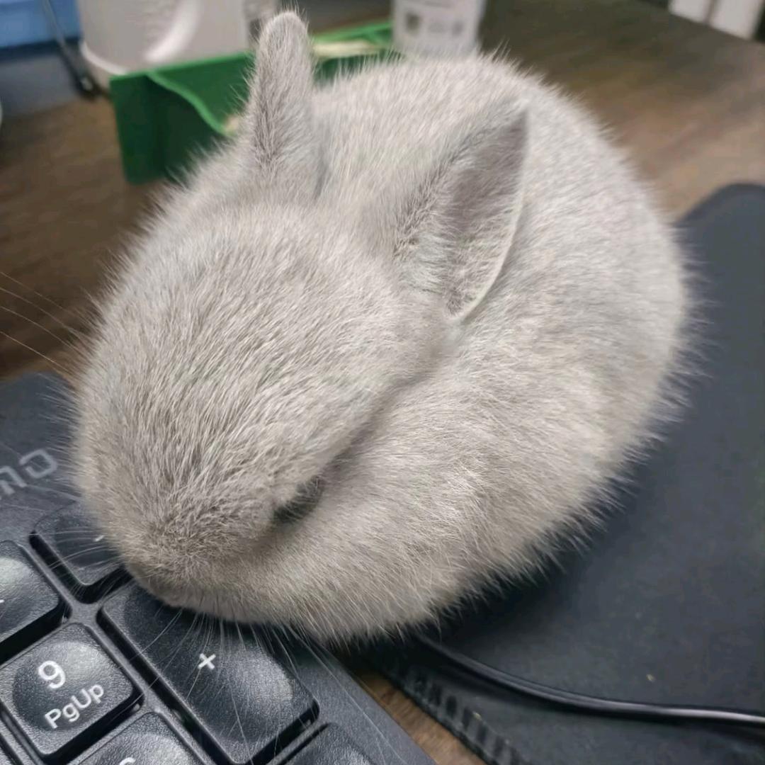 途径