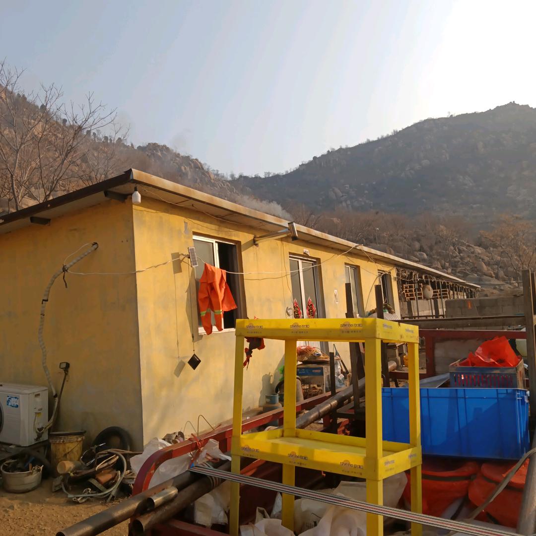 一品黄山登山草膘羊