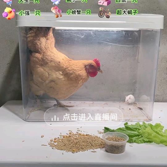 老张