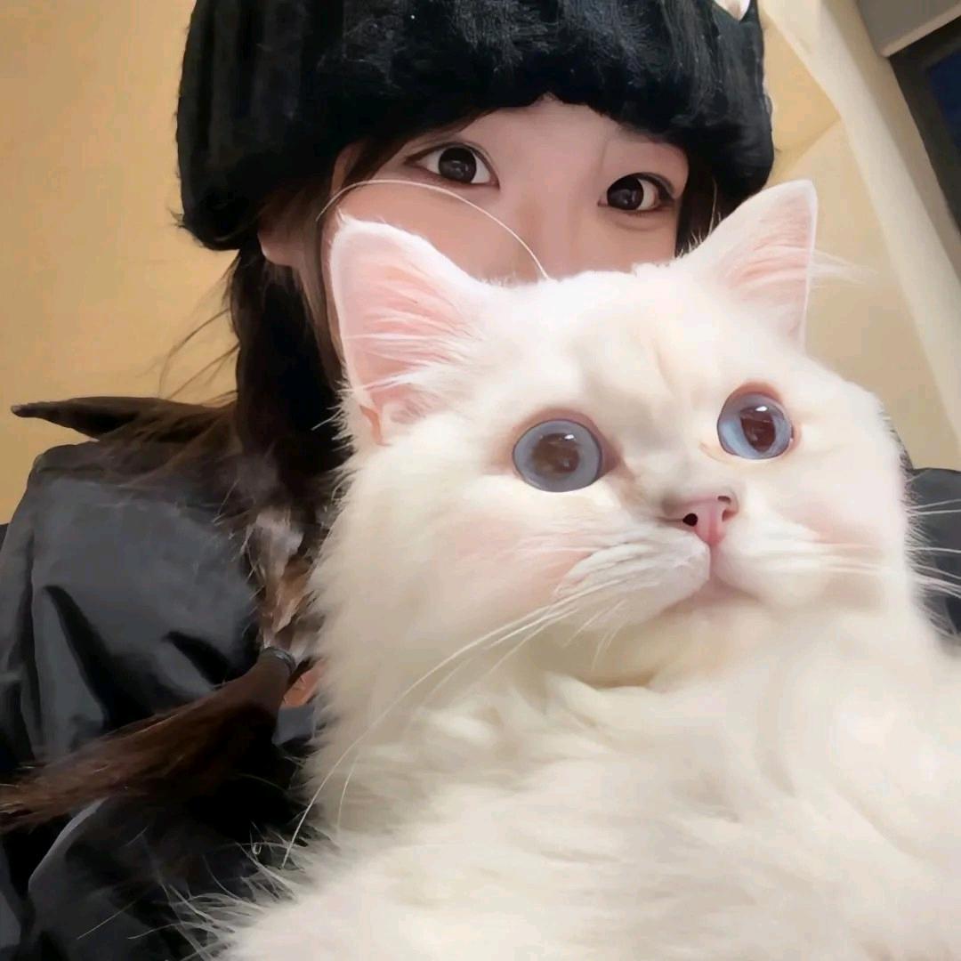 温棠🍊