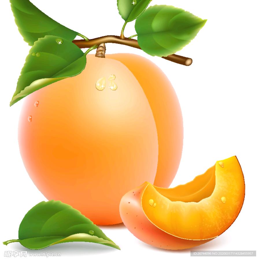 中余黄桃 锦绣黄桃