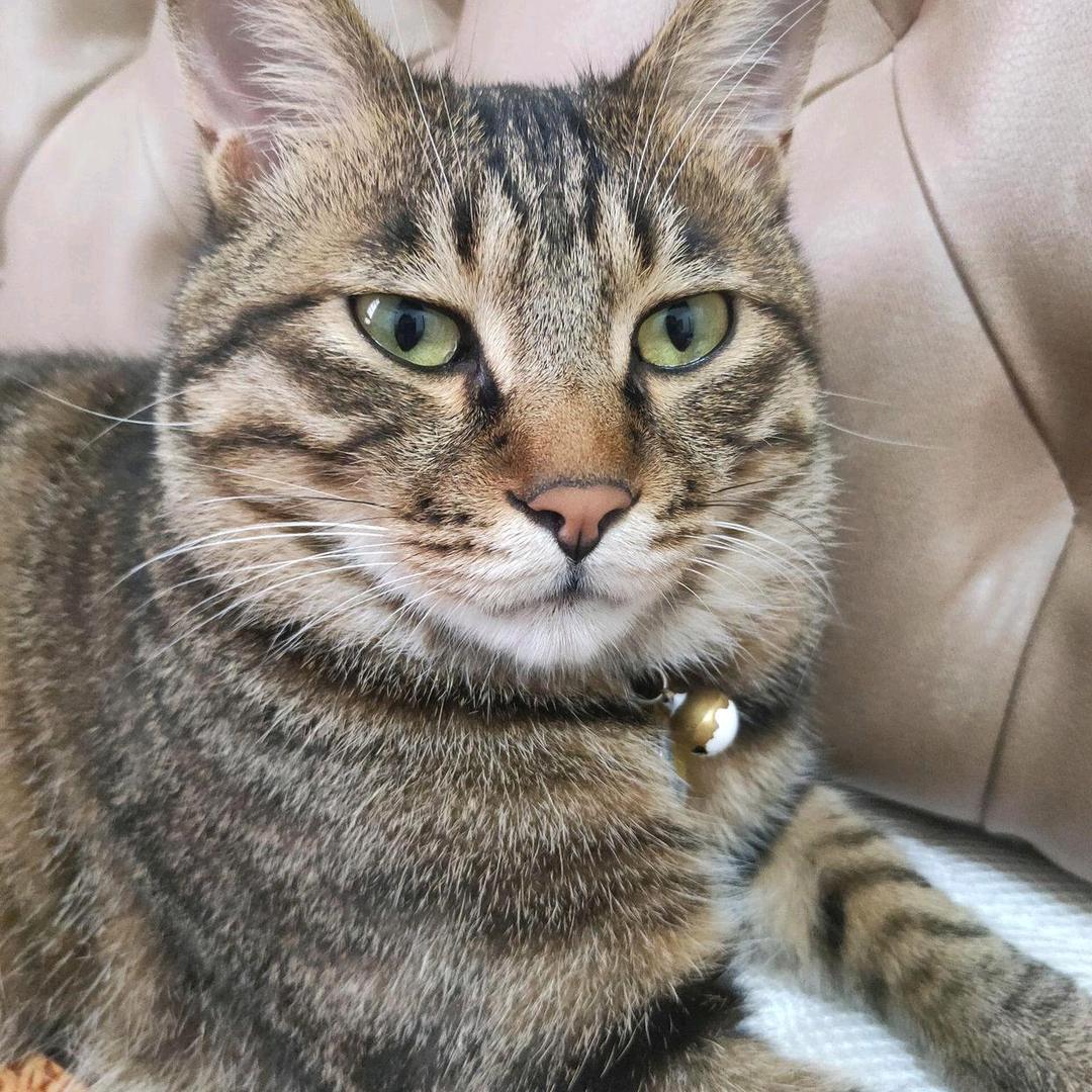 用户77696538开心快乐每一天