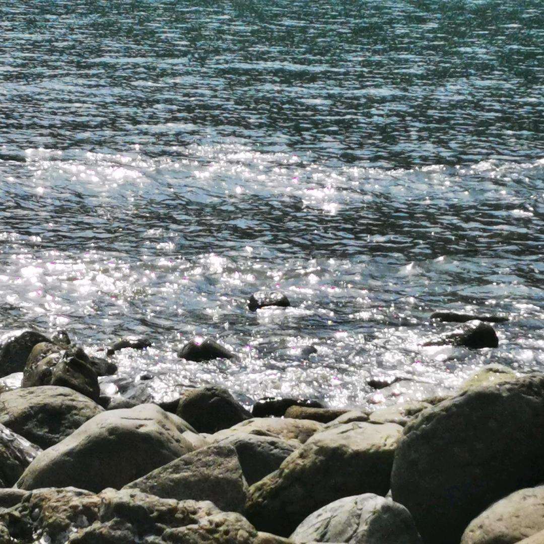 最爱草丛三姐妹（王者荣耀）