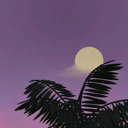 Z~siyun🦀