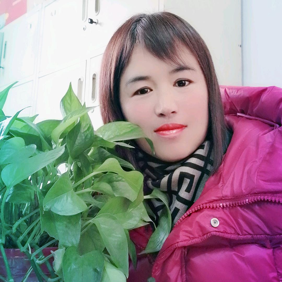 晓晓@🌹🌹🌹