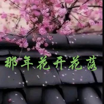 那年花开花落
