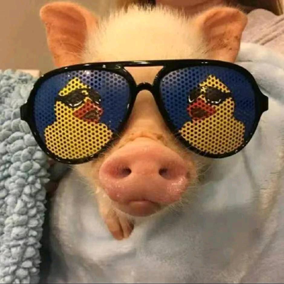 重生之霸道女总裁爱上我