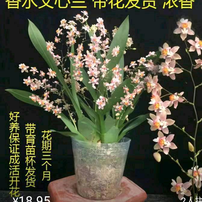༊ঞ陈訫⁵²⁰幸胡ꦿ💞᭄ོ࿐ᩚ一生为你